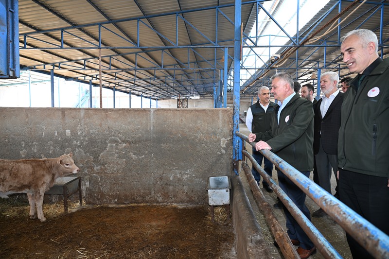 Vali Yazıcı, Malatya'da hayvancılık işletmelerini inceledi.
