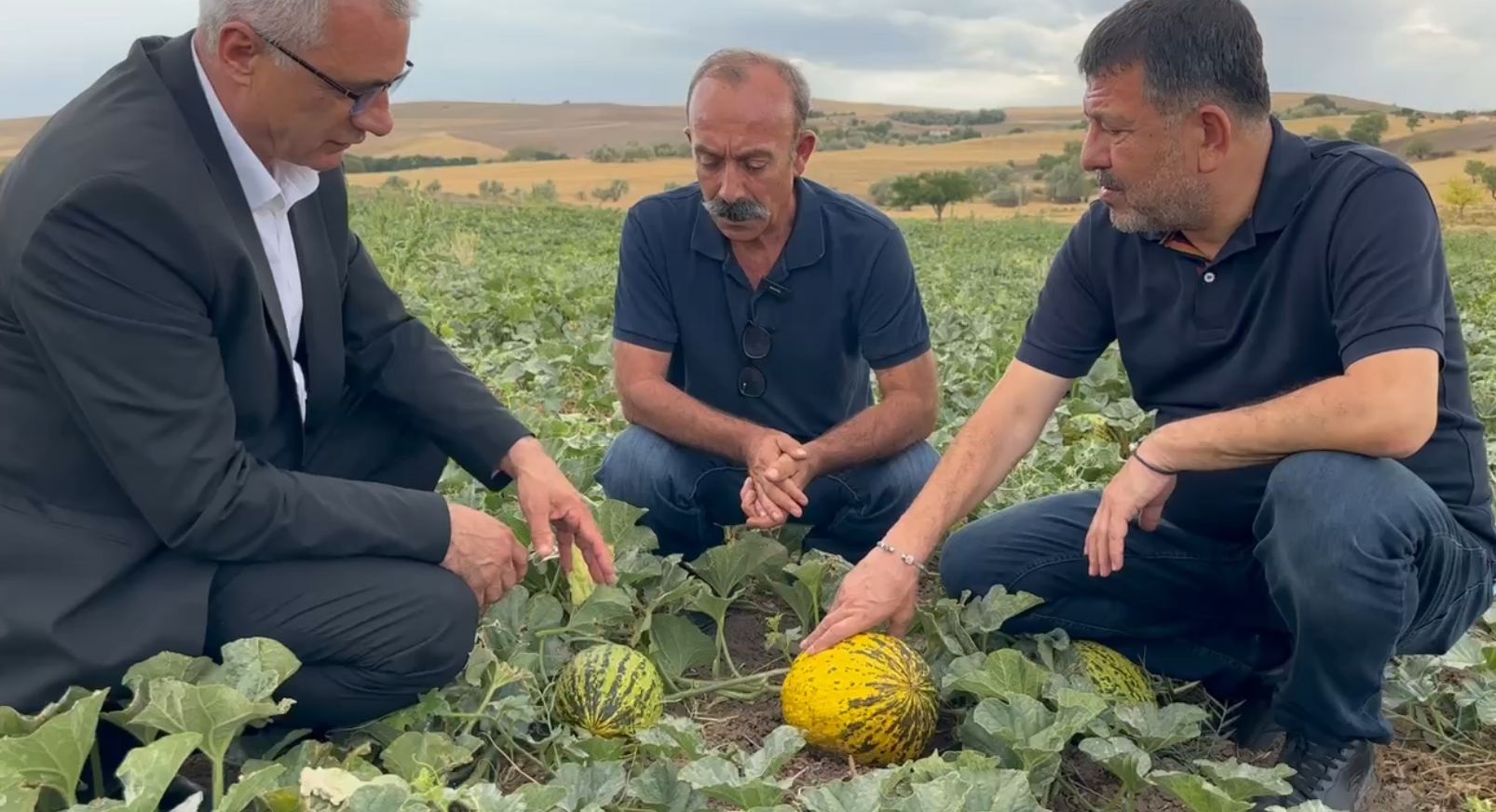 VELİ AĞBABA - MALATYA TARIMI ÇÖKTÜ